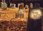 Watch The Day They Died Movies123