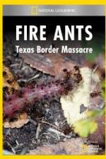 Watch National Geographic Fire Ants: Texas Border Massacre Movies123