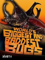 Watch World\'s Biggest and Baddest Bugs Movies123