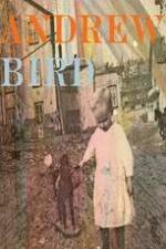 Watch Andrew Bird: Here\'s What Happened Movies123