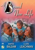 Watch A Brand New Life Movies123