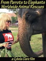 Watch From Parrots to Elephants: Worldwide Animal Rescues Movies123