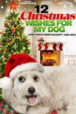 Watch 12 Christmas Wishes For My Dog Movies123