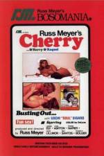 Watch Cherry Harry & Raquel Movies123
