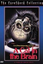Watch Un gatto nel cervello Movies123