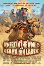 Watch Where in the World Is Osama Bin Laden? Movies123