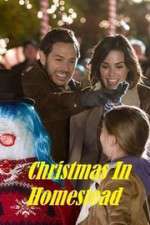 Watch Christmas in Homestead Movies123