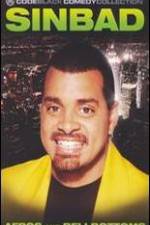 Watch Sinbad: Afros and Bellbottoms Movies123