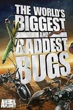 Watch Worlds Biggest and Baddest Bugs Movies123