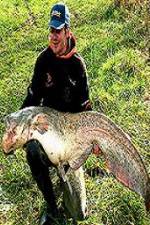 Watch Viking Expedition Movies123