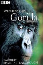 Watch Gorilla Revisited with David Attenborough Movies123