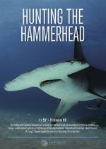 Watch Hunting the Hammerhead Movies123