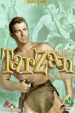 Watch Tarzan and the Trappers Movies123