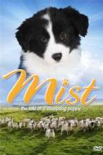 Watch Mist: The Tale of a Sheepdog Puppy Movies123