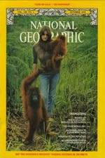 Watch Search for the Great Apes Movies123