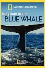 Watch National Geographic Kingdom of Blue Whale Movies123
