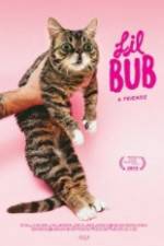 Watch Lil Bub & Friendz Movies123
