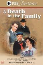 Watch A Death in the Family Movies123