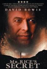 Watch Mr. Rice's Secret Movies123