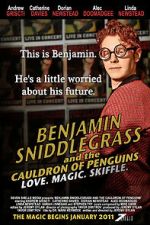 Watch Benjamin Sniddlegrass and the Cauldron of Penguins Movies123