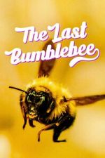 Watch The Last Bumblebee Movies123