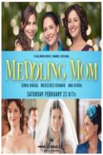 Watch Meddling Mom Movies123