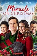 Watch Miracle on Christmas Movies123