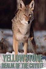 Watch Yellowstone: Realm of the Coyote Movies123