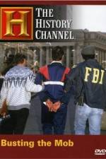 Watch The History Channel: Busting the Mob Movies123