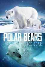 Watch Polar Bears Ice Bear Movies123
