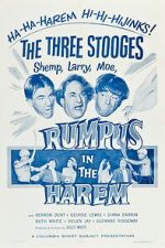 Watch Rumpus in the Harem Movies123
