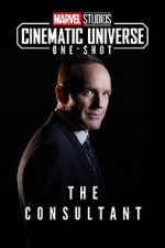 Watch Marvel One-Shot: The Consultant Movies123