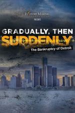 Watch Gradually, Then Suddenly: The Bankruptcy of Detroit Movies123