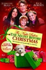 Watch Night Before The Night Before Christmas Movies123