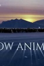 Watch Snow Animals Movies123