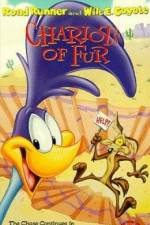 Watch Ready Woolen and Able Movies123