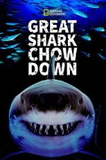 Watch Great Shark Chow Down Movies123