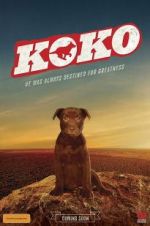 Watch Koko: A Red Dog Story Movies123