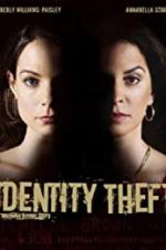 Watch Identity Theft Movies123