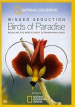 Watch Winged Seduction: Birds of Paradise Movies123