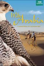 Watch Wild Arabia Movies123