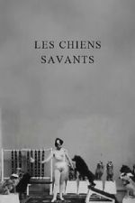 Watch Les chiens savants Movies123