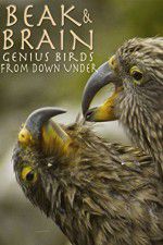 Watch Beak & Brain - Genius Birds from Down Under Movies123