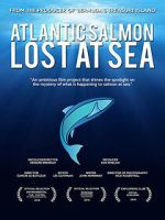 Watch Atlantic Salmon: Lost at Sea Movies123