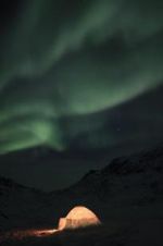 Watch The Last Igloo Movies123