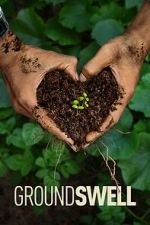 Watch Groundswell Movies123