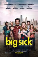 Watch The Big Sick Movies123