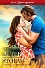 Watch After the Storm Movies123