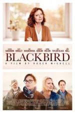 Watch Blackbird Movies123