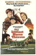 Watch The Littlest Horse Thieves Movies123